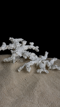 Abyssal Reef — Titan