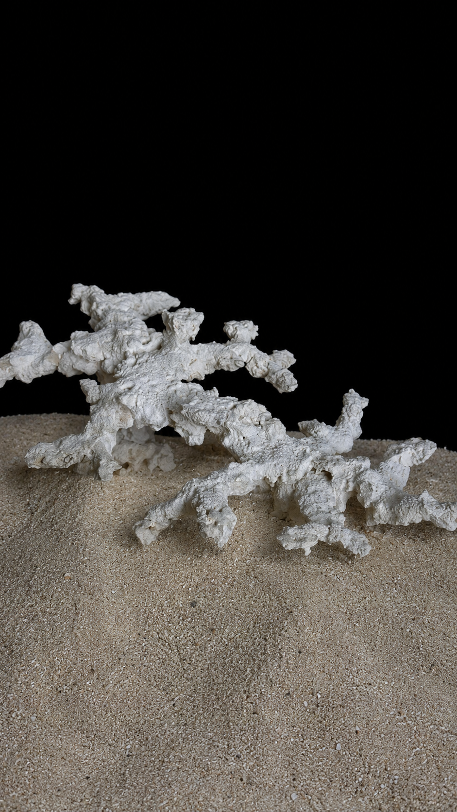 Abyssal Reef — Titan