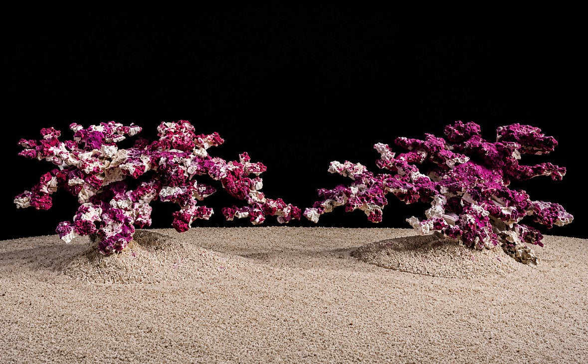 Abyssal Reef Series – Real Reef Rock‘s Edition