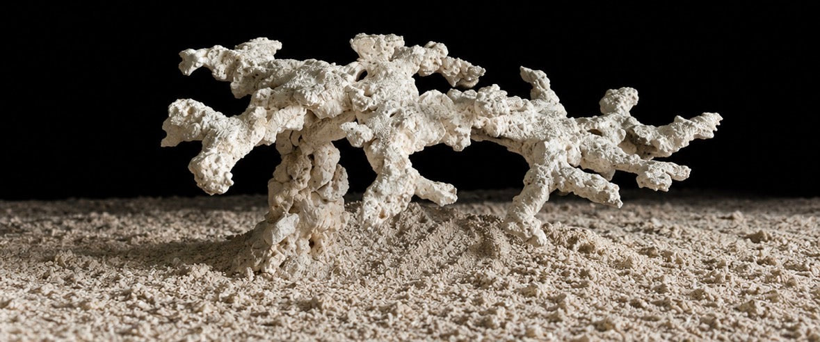 Abyssal Reef — Titan