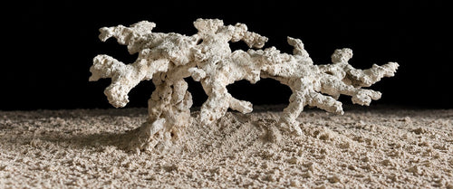 Abyssal Reef — Titan